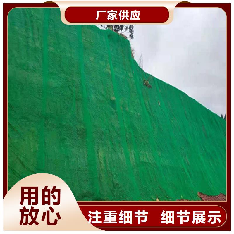 三维植被网,【HDPE土工膜】支持定制贴心售后