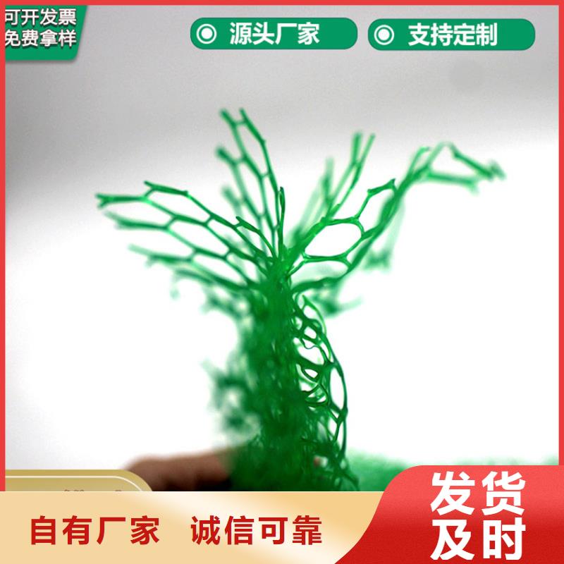 三维植被网-【防渗膜】0中间商差价