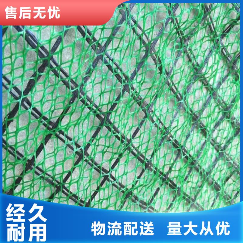 三维植被网-【防渗膜】0中间商差价