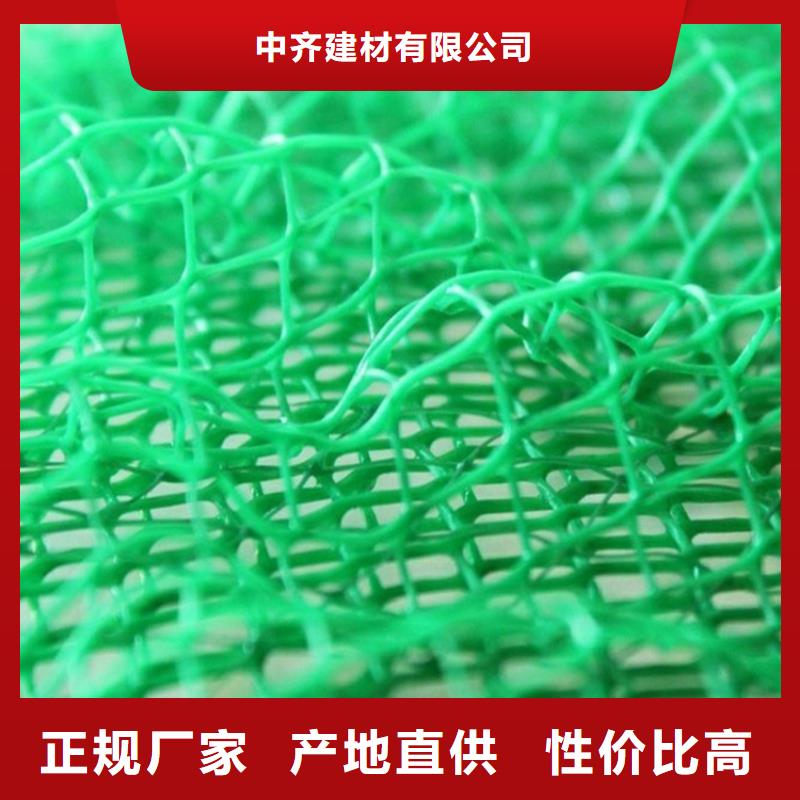 三维植被网_防渗膜产地源头好货