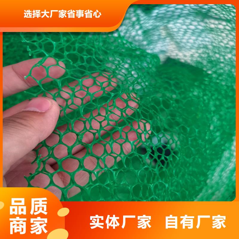 三维植被网双向塑料土工格栅不断创新