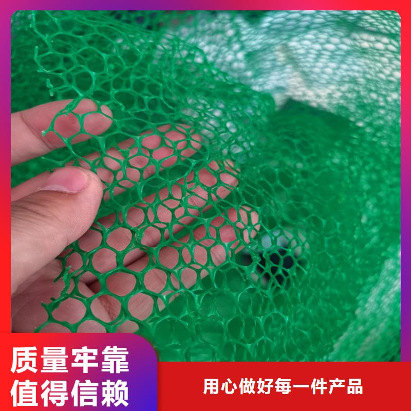三维植被网,【HDPE土工膜】支持定制贴心售后