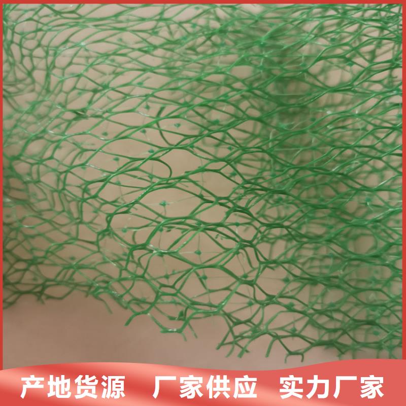 三维植被网,【防渗膜】现货供应