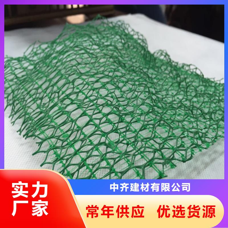 三维植被网-【防渗膜】0中间商差价