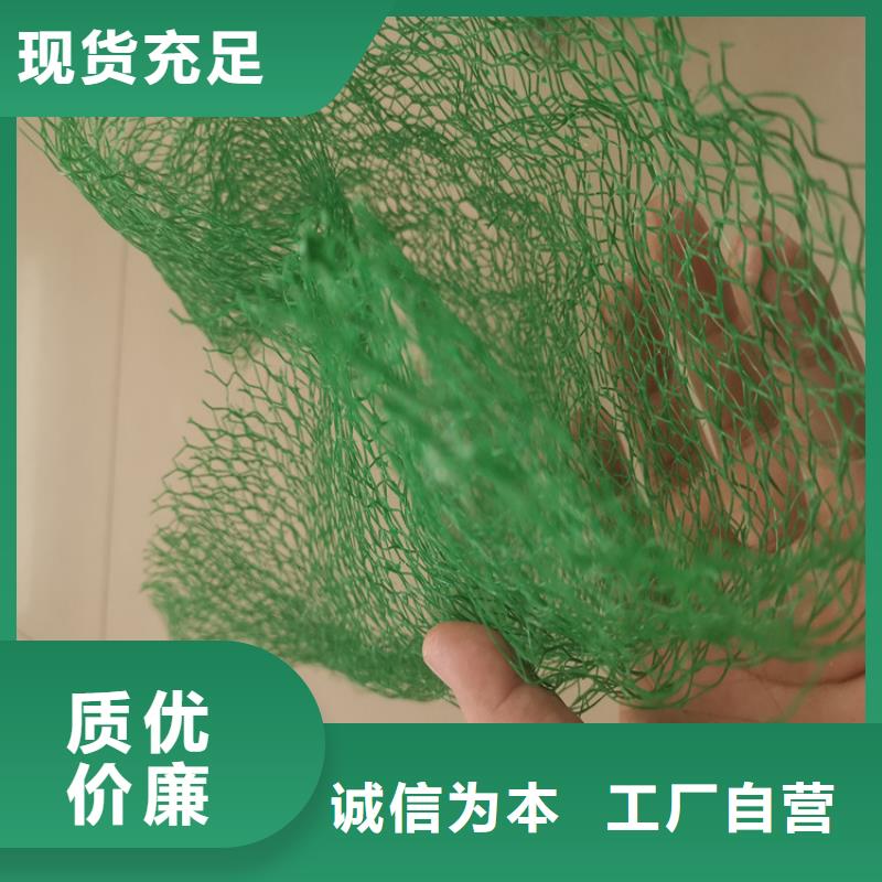 三维植被网-软式透水管专注生产N年