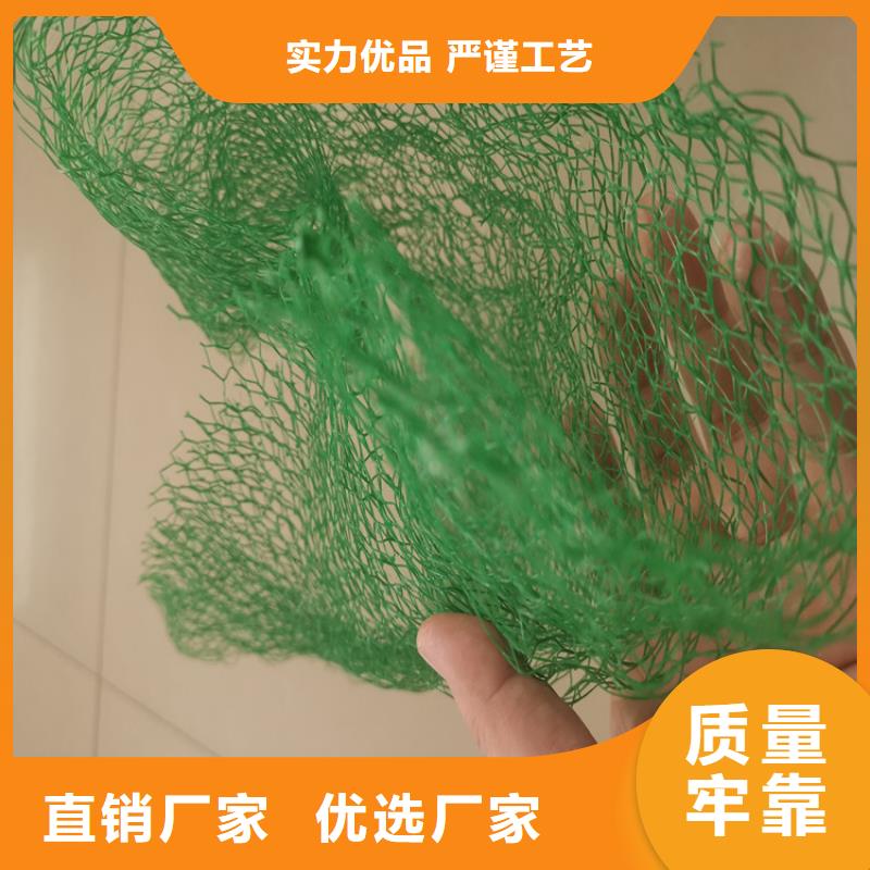 三维植被网-防水毯支持定制批发