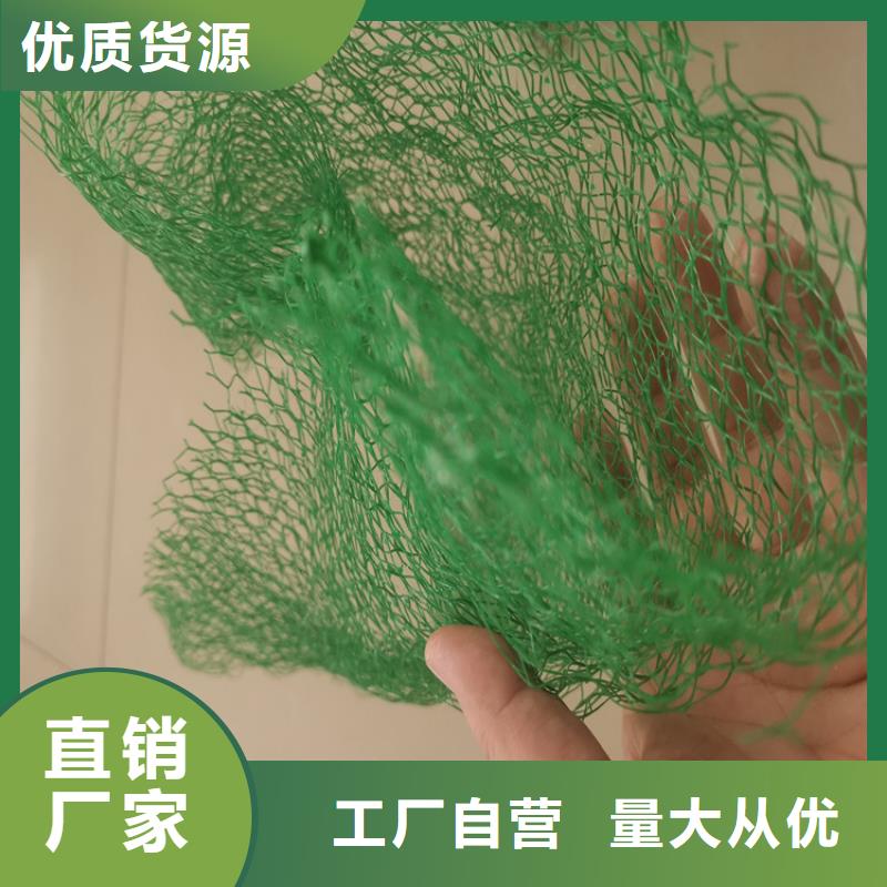 三维植被网-止水条厂家经验丰富