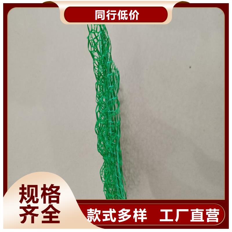三维植被网土工网商家直供