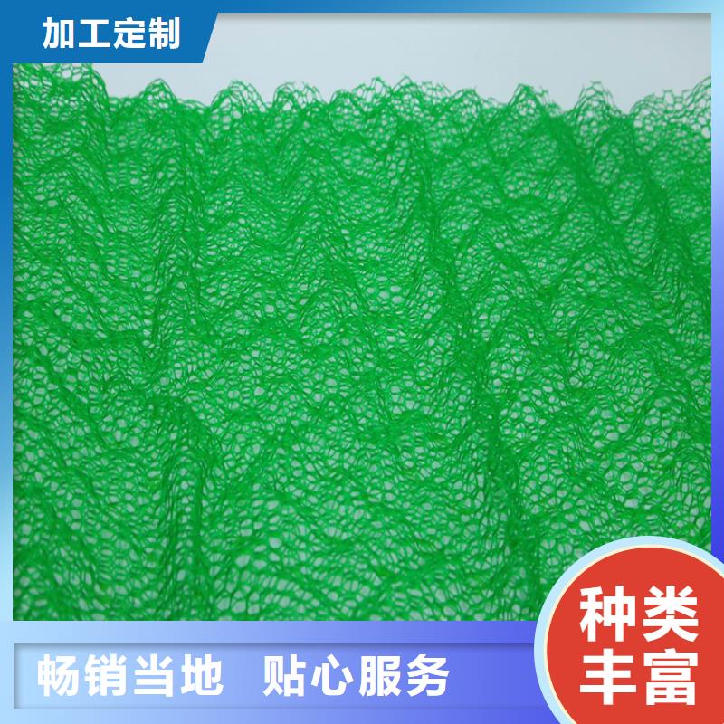 三维植被网,【防渗膜】现货供应