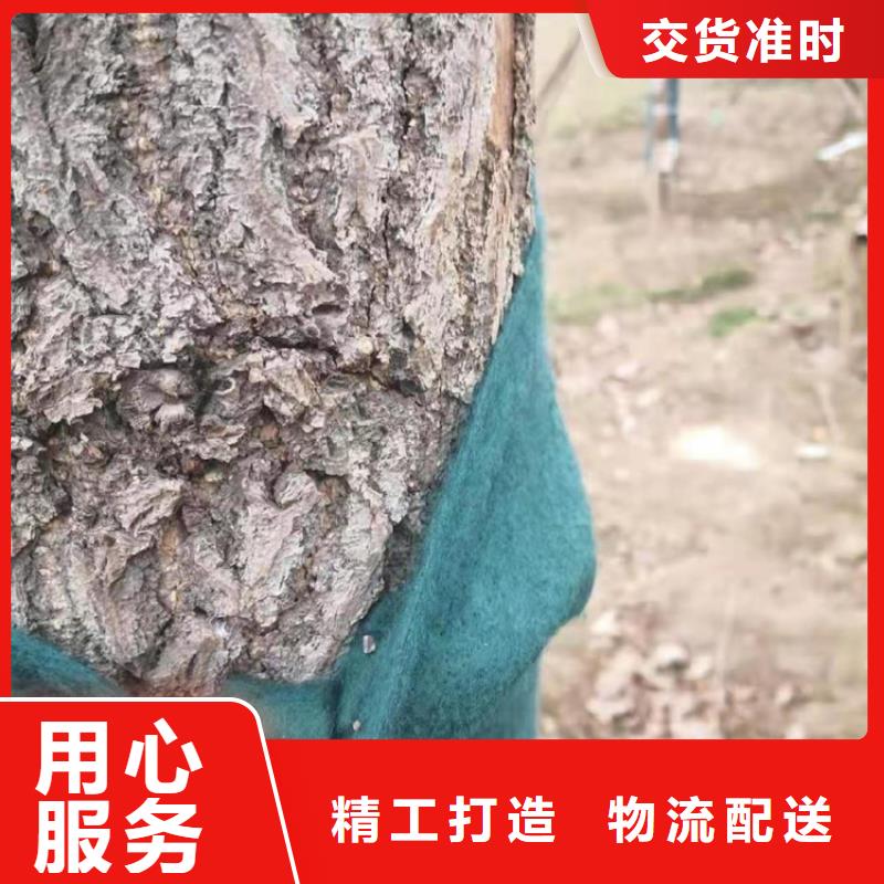 裹树布硬式透水管现货充裕