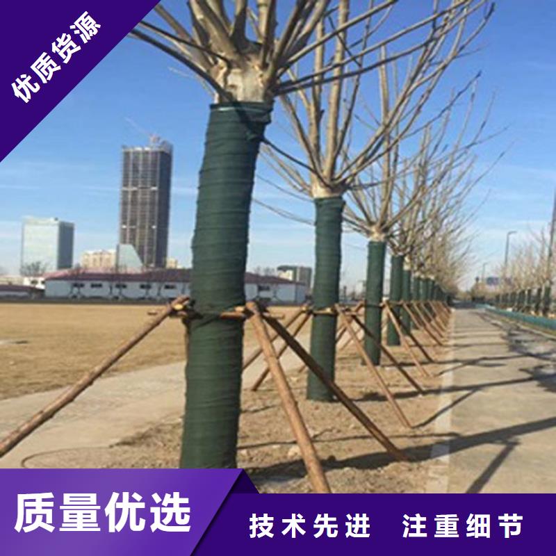 裹树布【土工格室】大库存无缺货危机