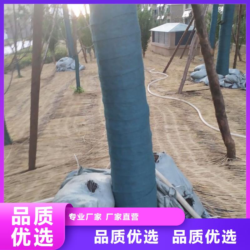 裹树布复合土工膜免费寄样