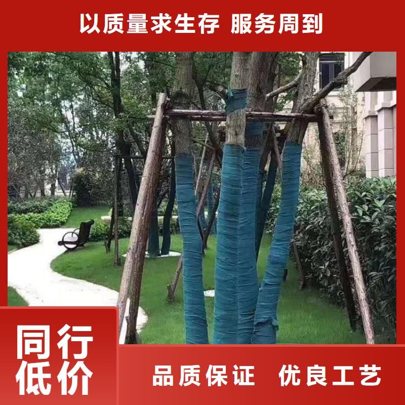 裹树布-【土工布】超产品在细节-中齐建材(合作市分公司)-阿奇乐乐