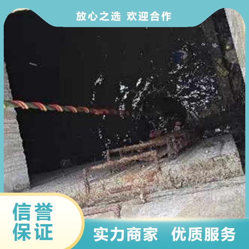 【水下作业潜水员服务 水下切割公司快捷】-浪淘潜水发展(辽宁省分公司)-阿奇乐乐