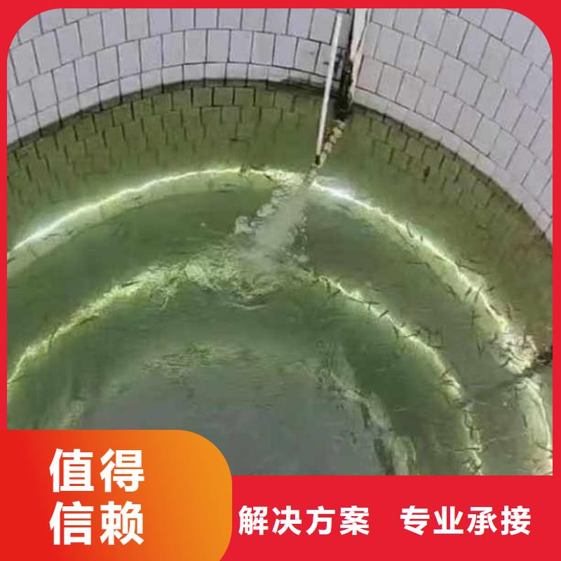 水下施工水下摄影24小时为您服务