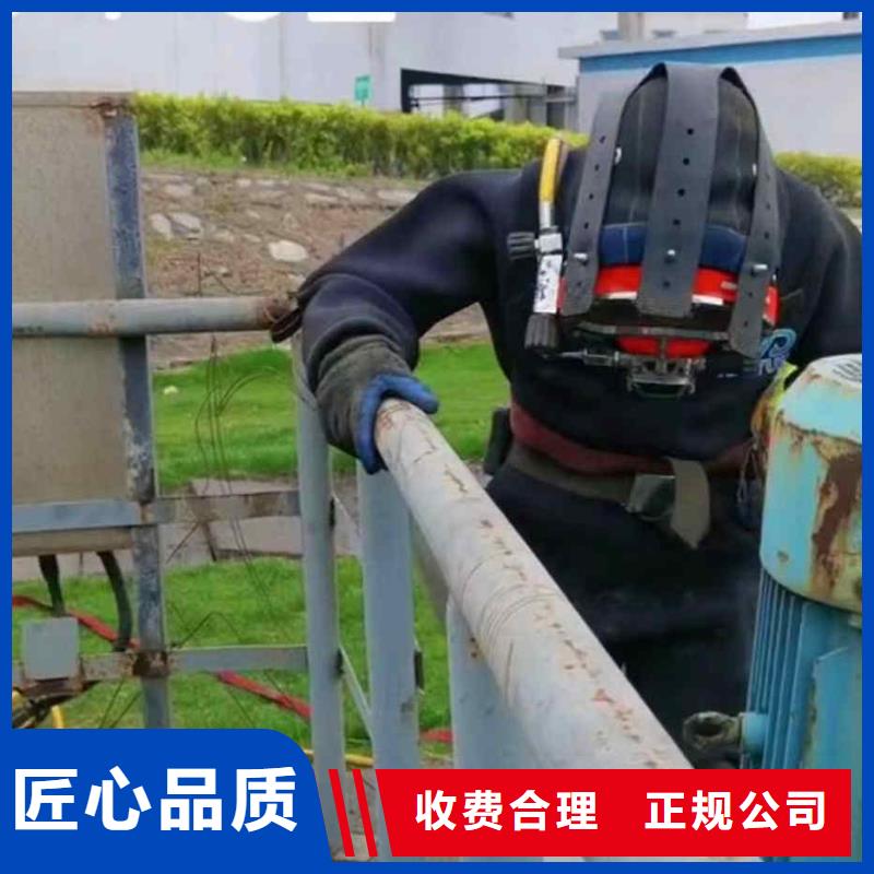 潜水员服务水下堵漏2025公司精心