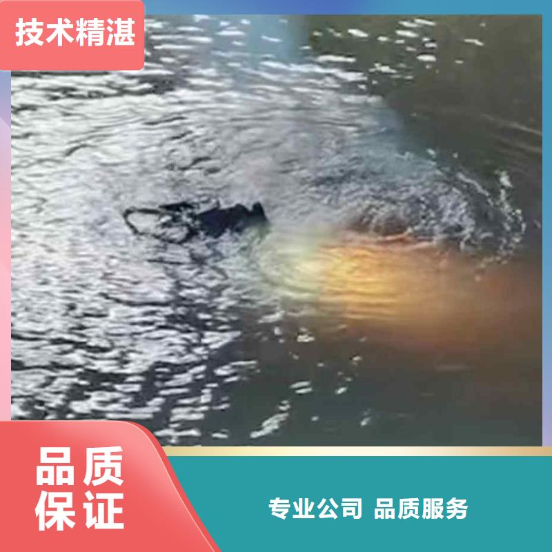 潜水员服务【本地潜水搜索团队】知名公司