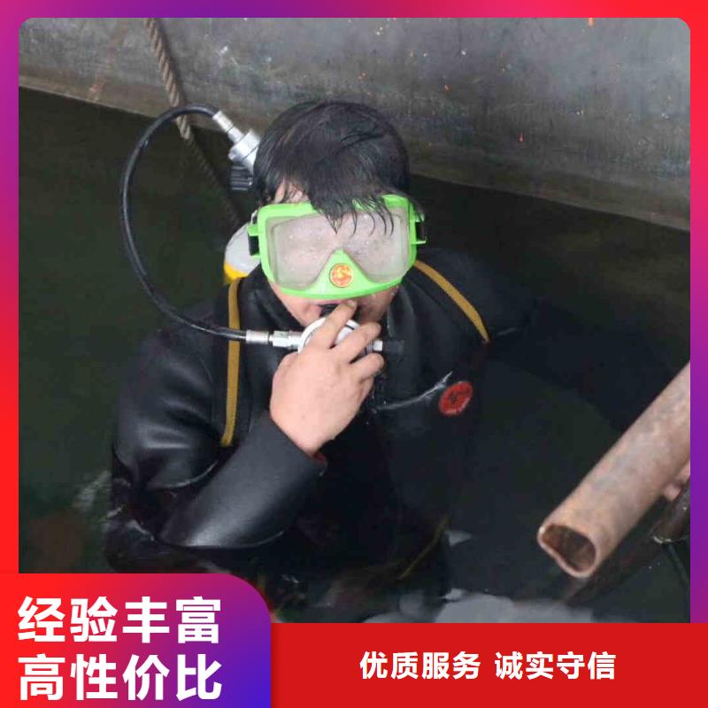 潜水员服务本地潜水搜索团队高性价比