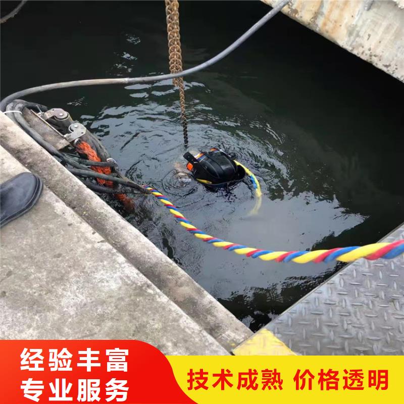 水下维修【堤防工程施工】正规