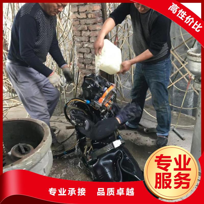 水下维修【堤防工程施工】正规