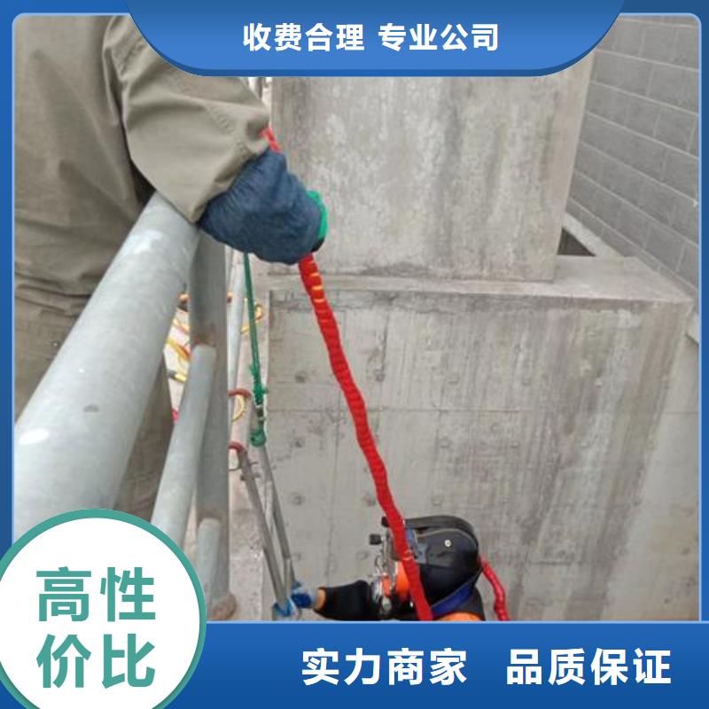 水下维修堤防工程施工欢迎合作