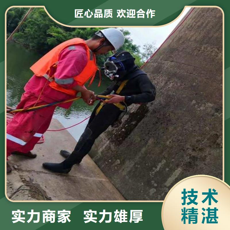 价格公道 潜水员-【堤防工程施工】价格美丽-aq00.com