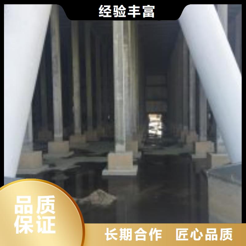 潜水员知名公司