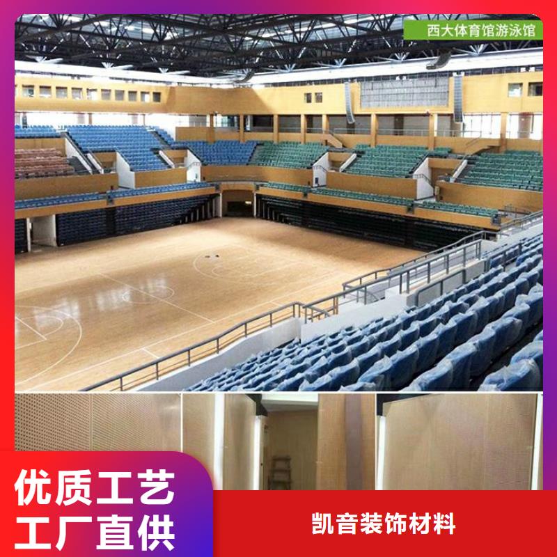 县集团公司体育馆声学改造方案--2025近方案/价格