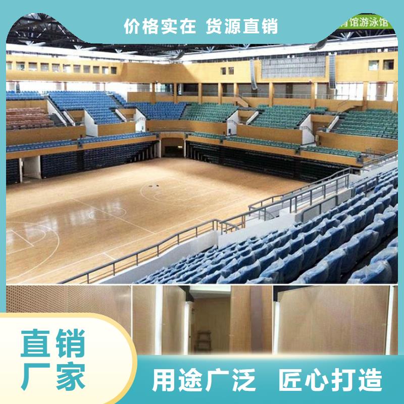 专业体育馆声学改造价格--2024最近方案/价格