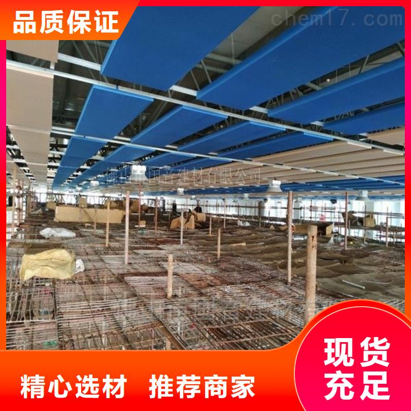 县集团公司体育馆声学改造方案--2025近方案/价格