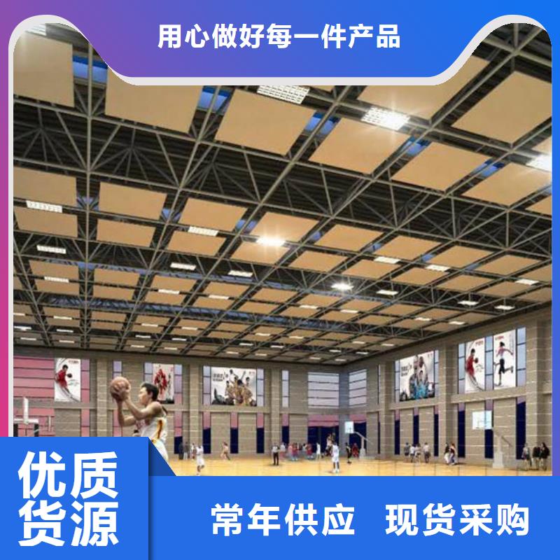 县羽毛球馆体育馆吸音改造方案--2025近方案/价格
