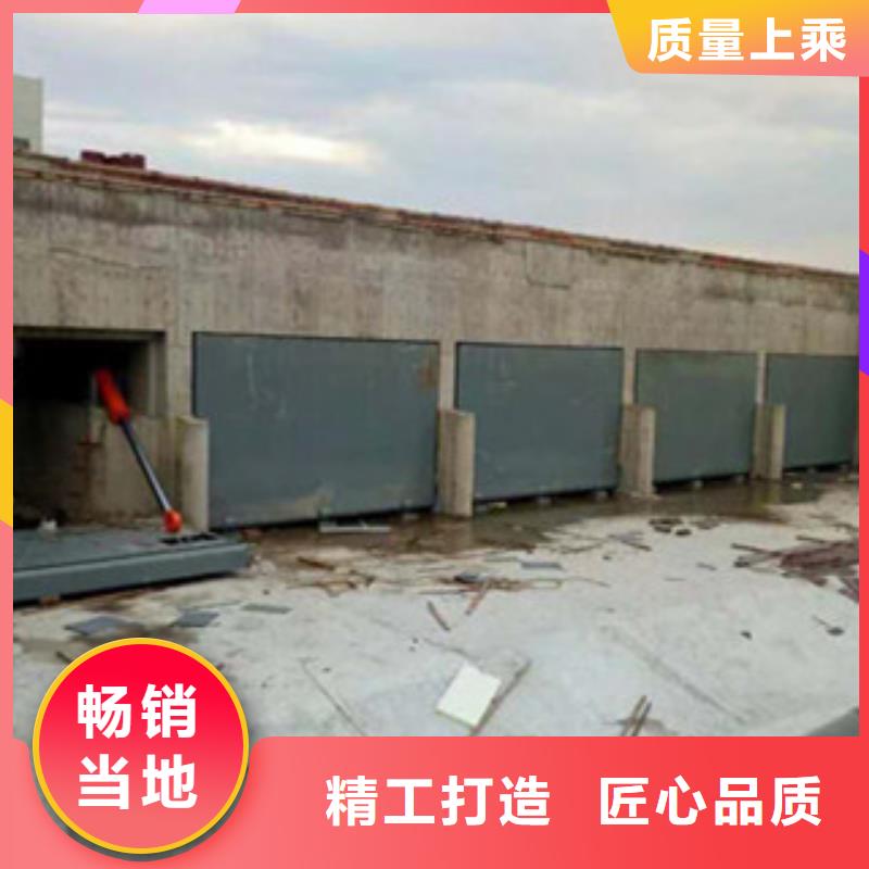 液压式翻板闸门行业经验可信赖