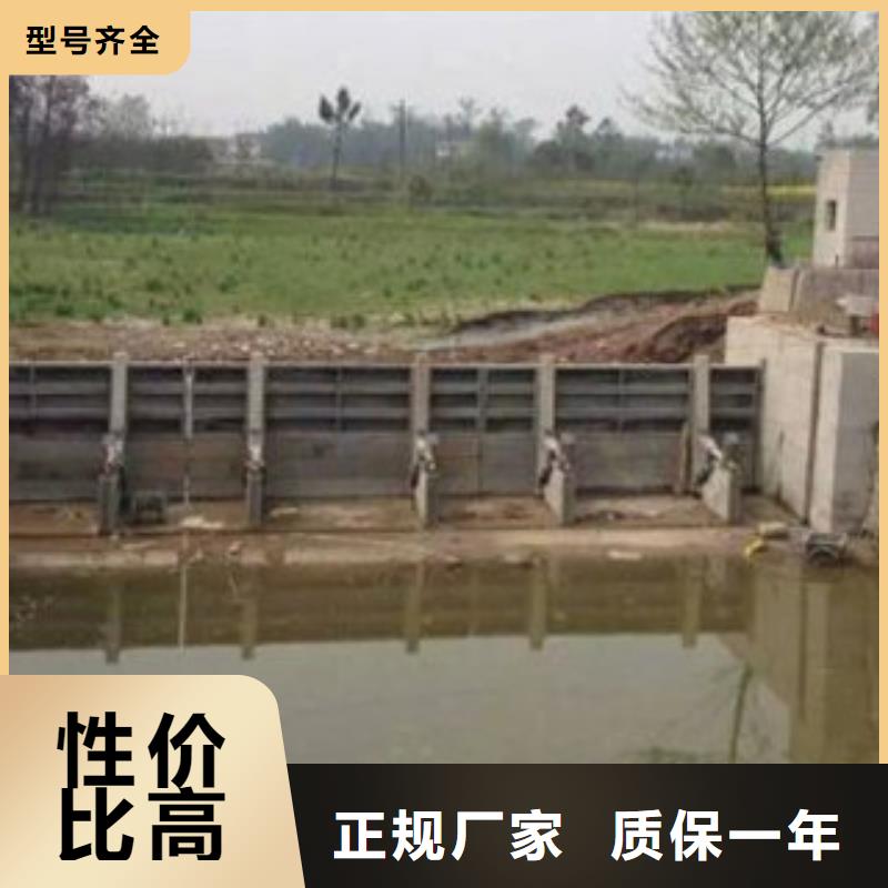 景观钢坝厂家，放心之选