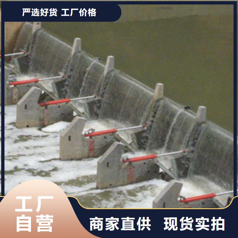 儋州市液压翻板闸门厂家生产制造