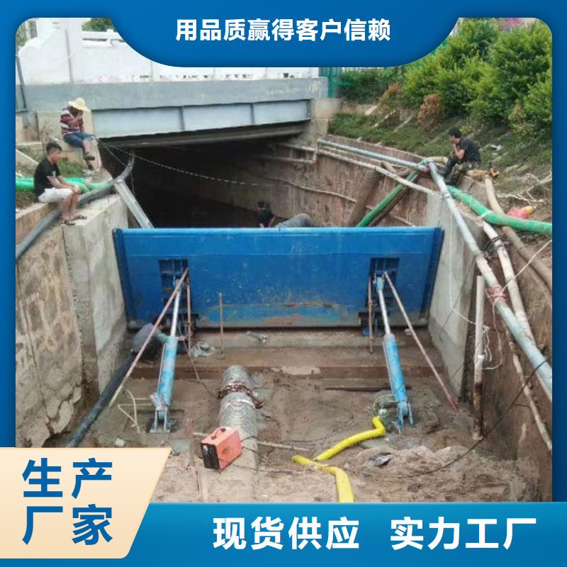 液压合页坝生产批发可定做