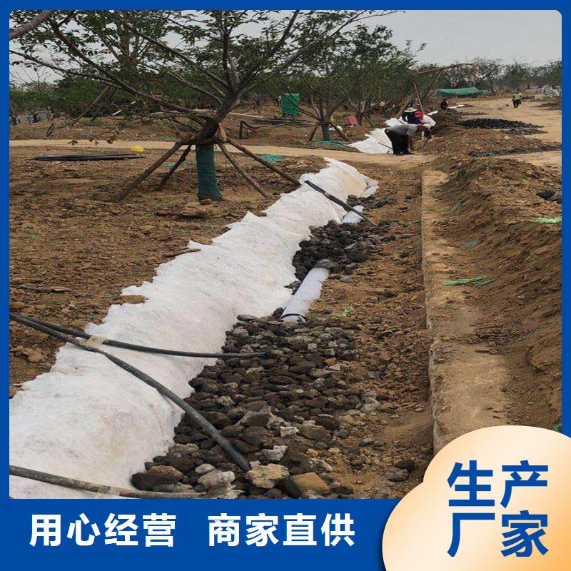 塑料波纹管厂家报价比同行节省10%