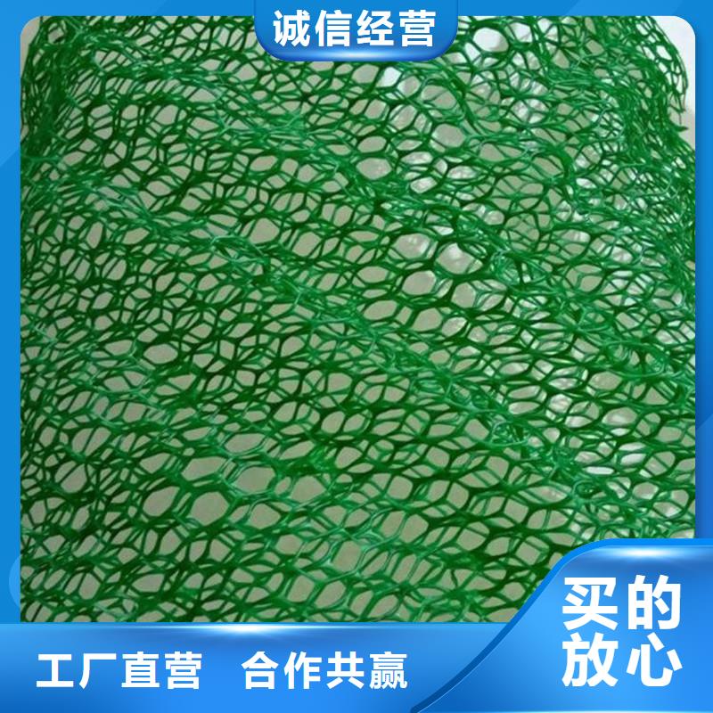 三维植被网铜片止水性价比高