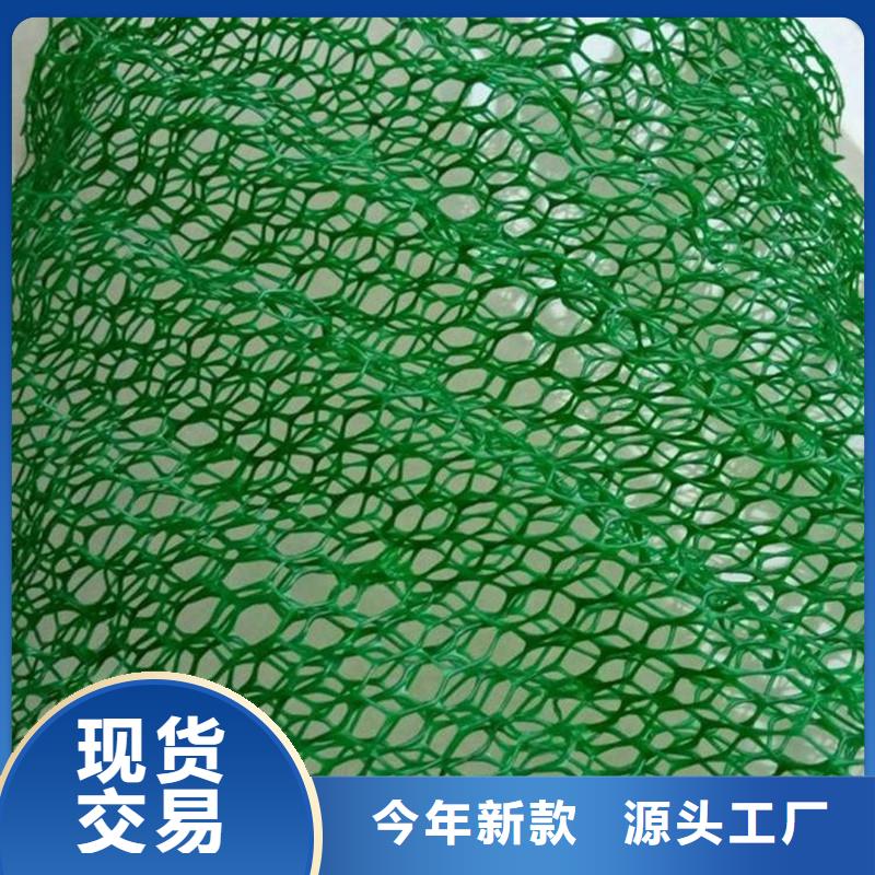 三维植被网止水铜片厂家库存丰富