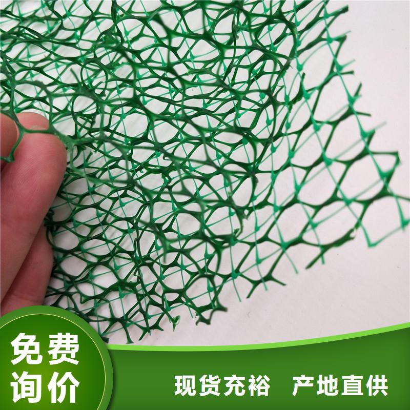 三维植被网聚乙烯醇纤维厂家源头厂家量大价优
