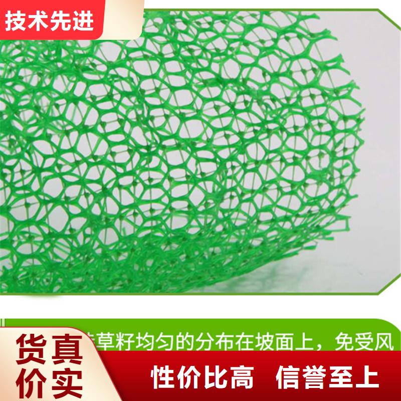 金鸿耀【三维植被网】,止水紫铜片品牌专营-业务覆盖区域|滑县|文峰|南阳|濮阳|信阳|许昌|三门峡|新乡-阿奇乐乐