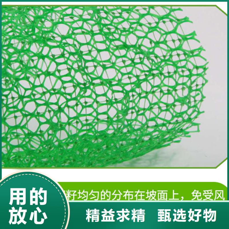 【三维植被网】聚丙烯单丝纤维厂家十分靠谱