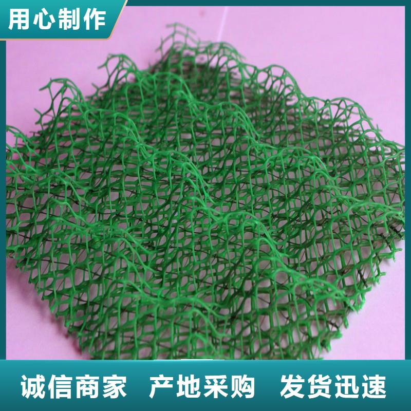 三维植被网土工膜种类齐全