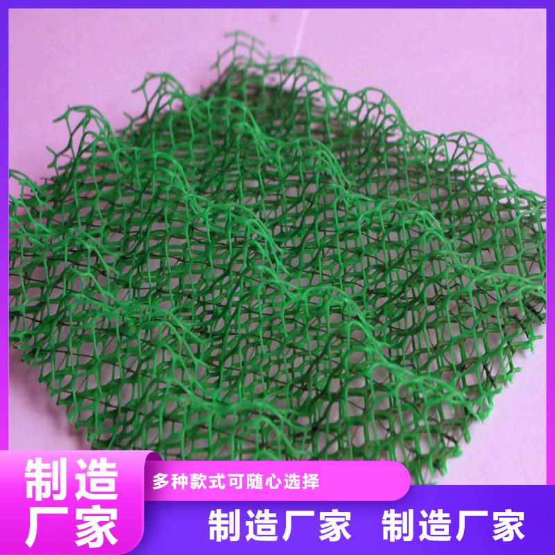 三维植被网,止水铜片厂家实力大厂家