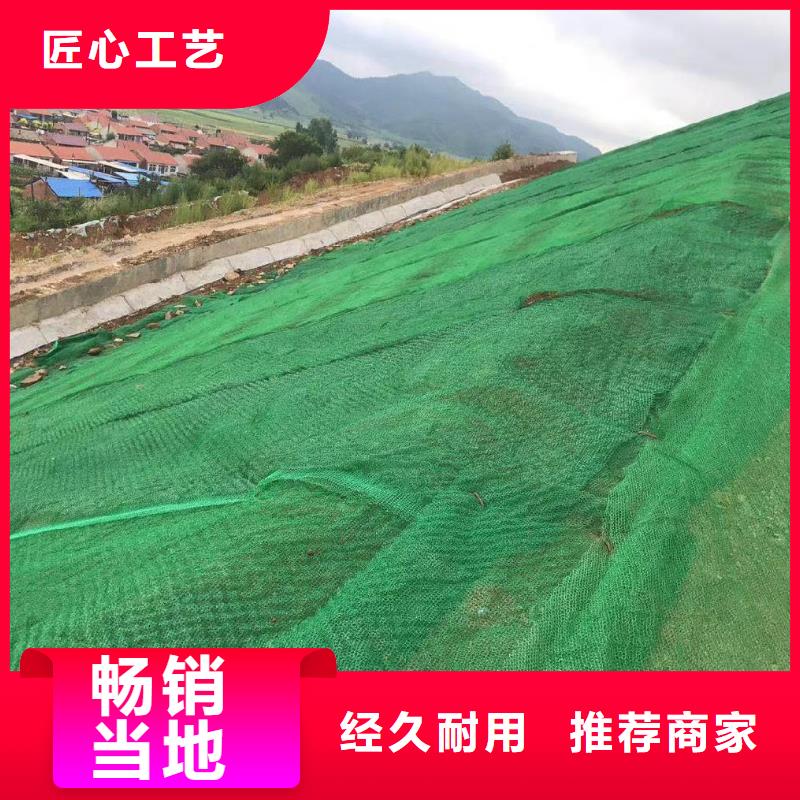 三维植被网【钢纤维】海量货源