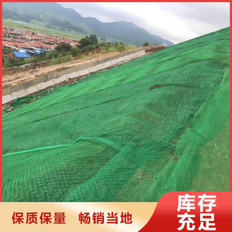 三维植被网仿钢塑钢纤维标准工艺