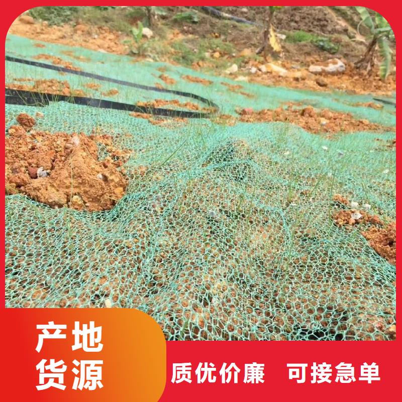 供应三维土工网植草认准金鸿耀工程材料有限公司