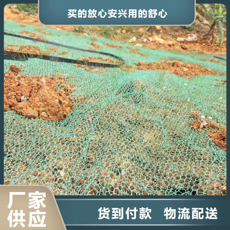 金鸿耀【三维植被网】,止水紫铜片品牌专营-业务覆盖区域|滑县|文峰|南阳|濮阳|信阳|许昌|三门峡|新乡-阿奇乐乐