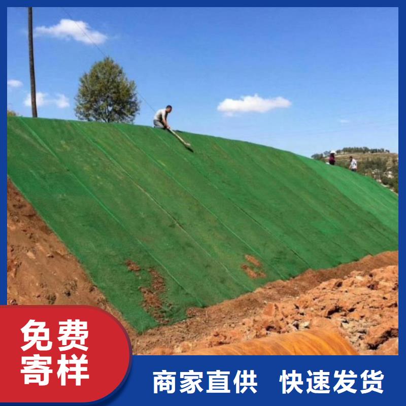 三维植被网【钢纤维】海量货源