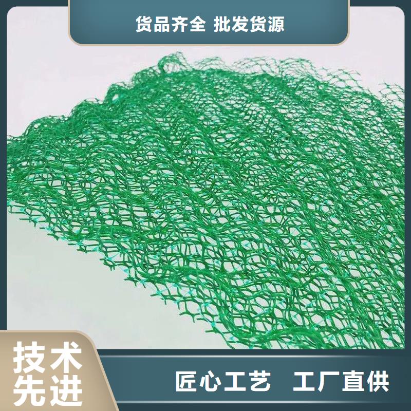 三维植被网铜止水生产厂家快速生产