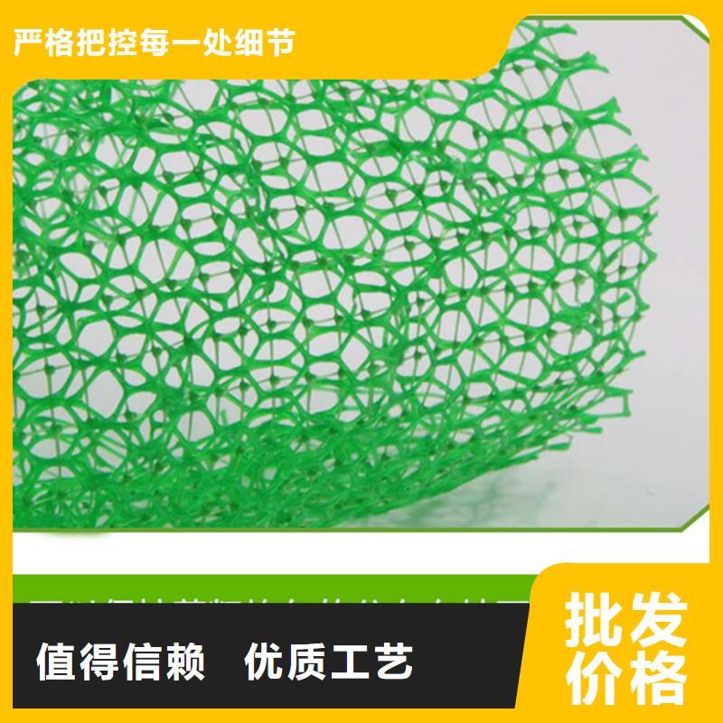 三维植被网土工膜源厂供货